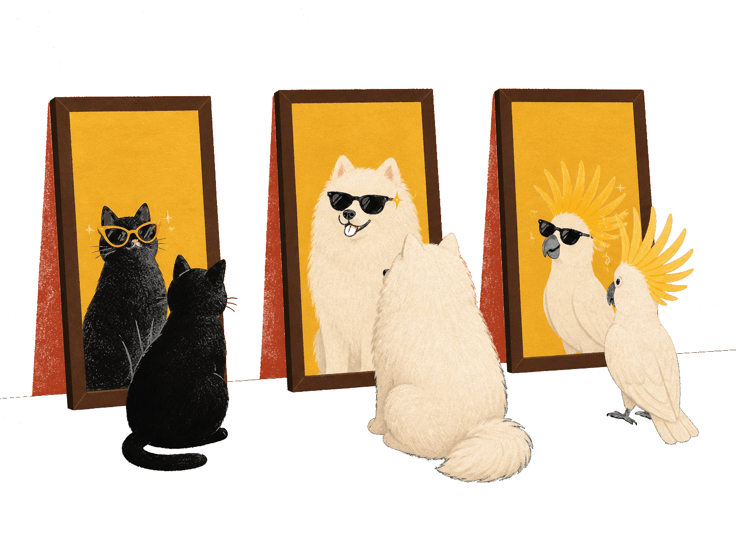 A black cat, a samoyed dog, and a cockatoo each admiring themselves in mirrors while wearing sunglasses that suit them.